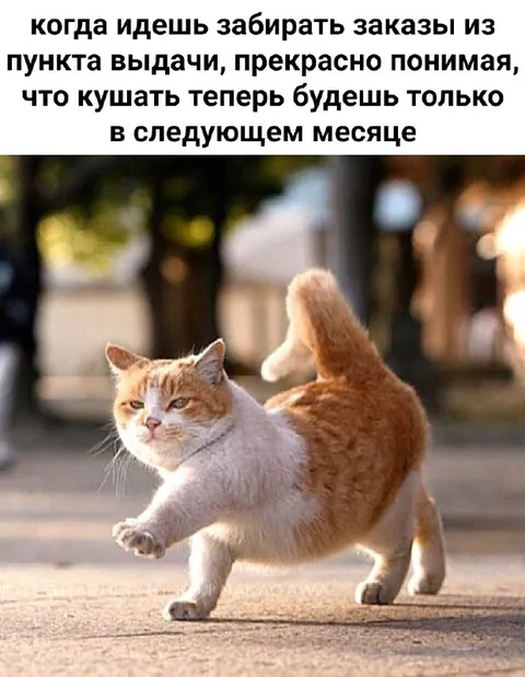 Когда забираешь заказы без денег
