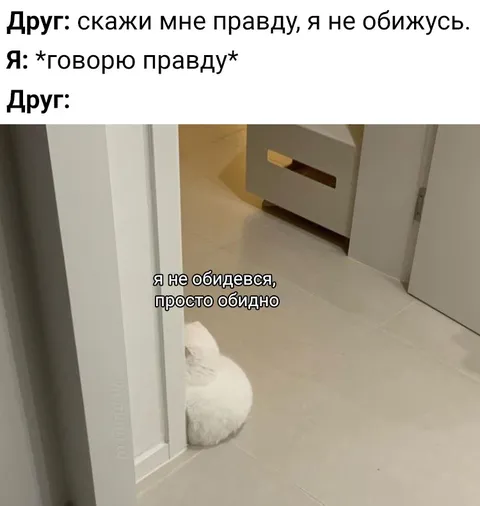 Я не обиделся, просто обидно