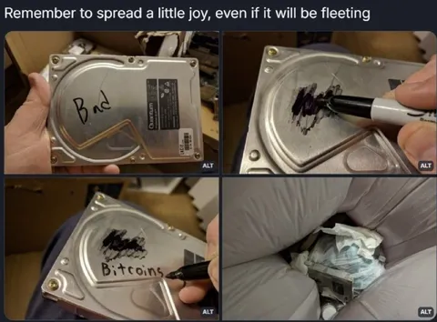 Spread a Little Joy