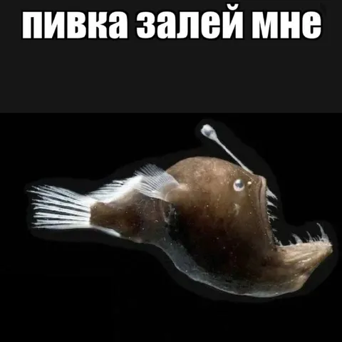 Пивка залей мне