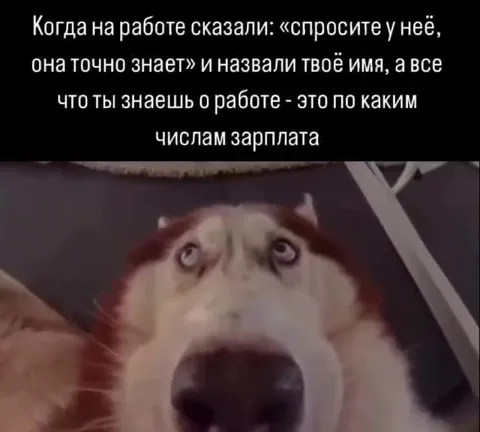 Когда знаешь только даты зарплаты