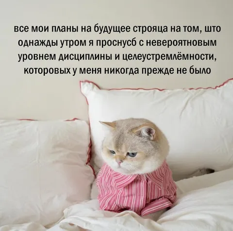 Планы на будущее и дисциплина