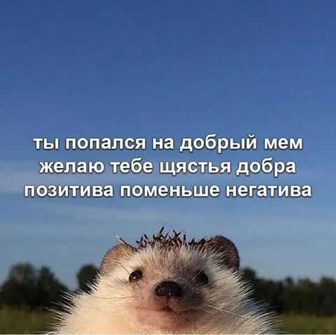 Добрый мем с пожеланием счастья