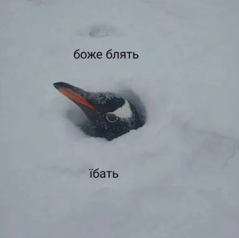 Боже, блять — ёбать