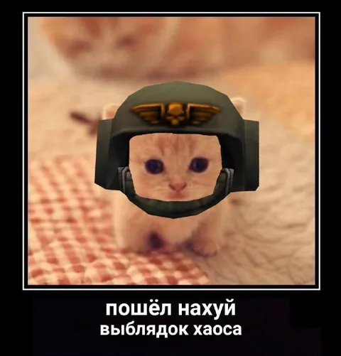 Кот в шлеме посылает к чёрту