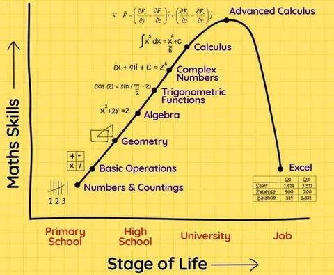 Math Skills Peak at University