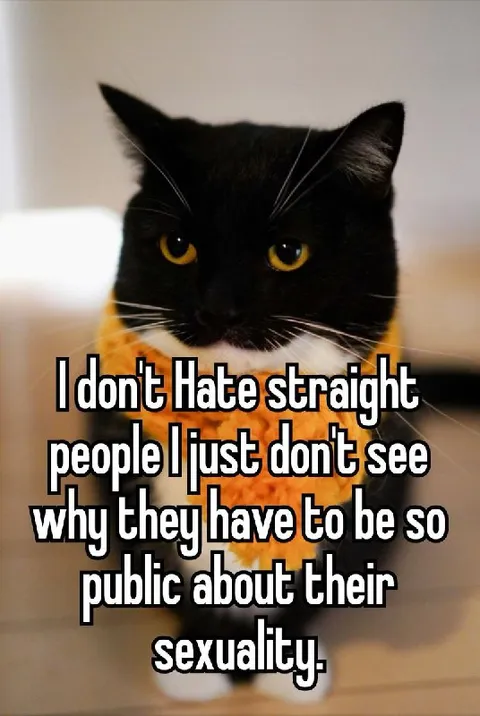 Black Cat Critiques Straight People