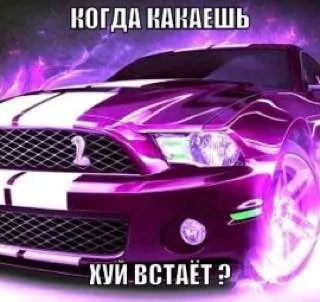 Когда какаешь, хуй встаёт