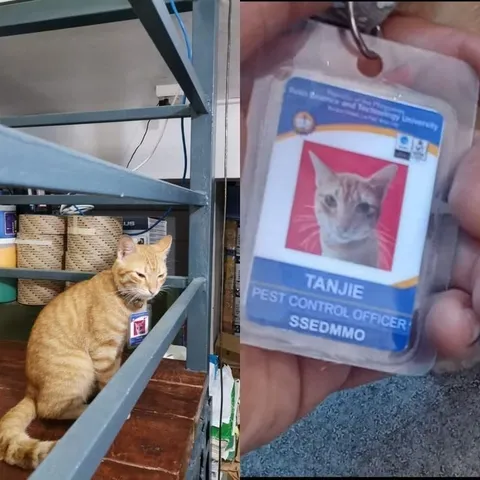 Cat Pest Control Officer Badge