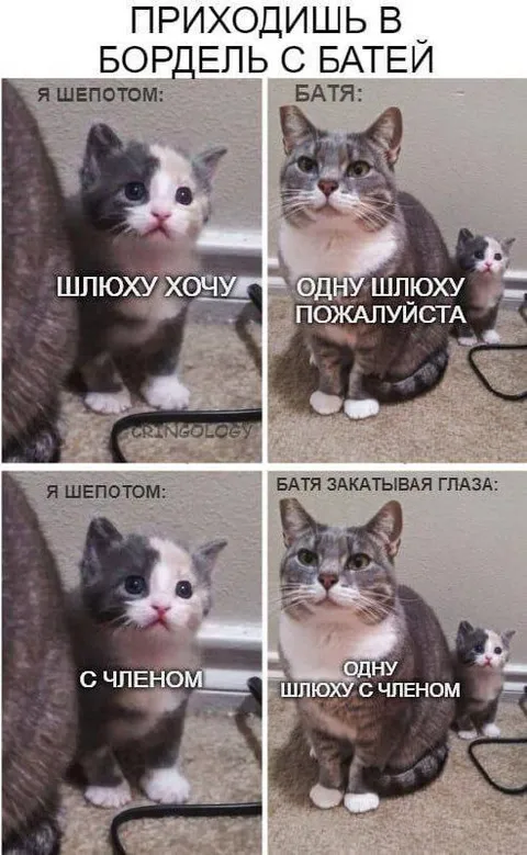 Приходишь в бордель с батей