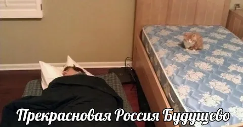 Прекрасновая Россия Будущего