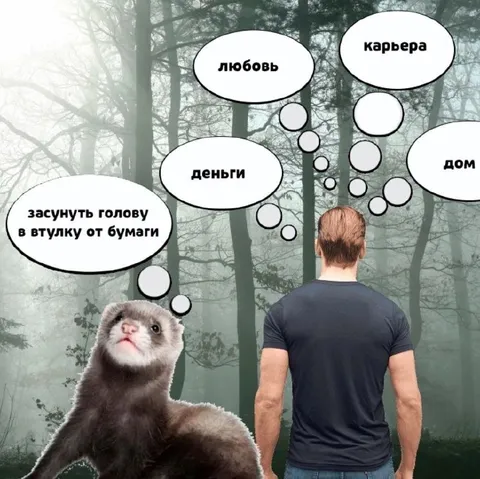 Хорёк выбирает втулку от бумаги