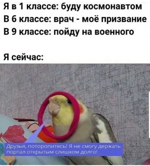 Планы на будущее и портал
