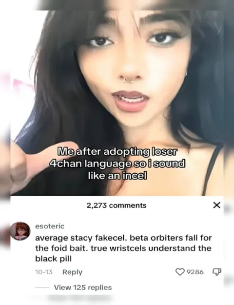 Adopting 4chan Incel Language