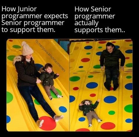 Senior Programmer Support