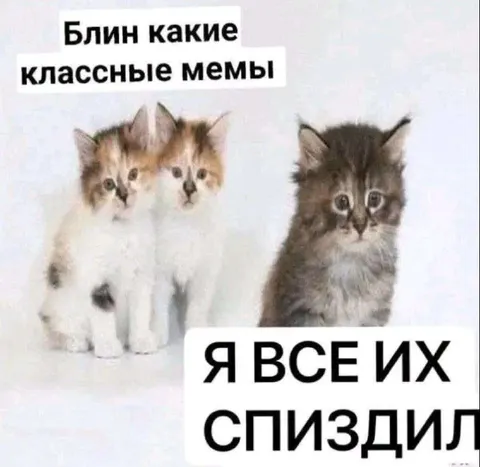 Я всех спиздил