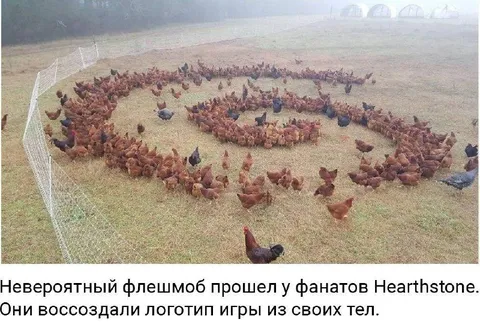 Куры воссоздали логотип Hearthstone