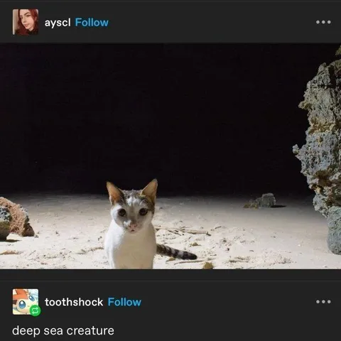 Deep Sea Creature Cat
