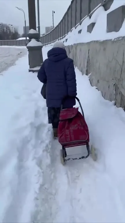Зимняя прогулка с тележкой