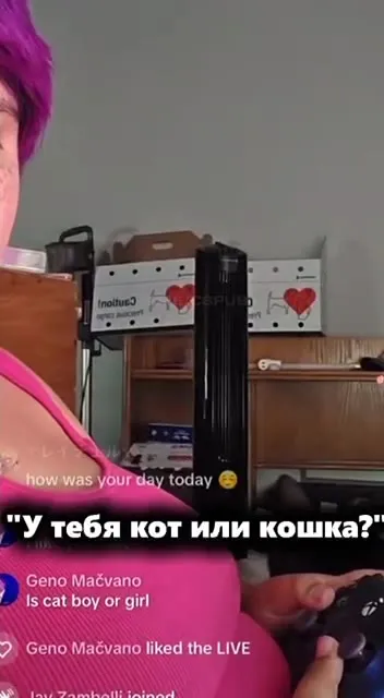 Спросите о поле питомца