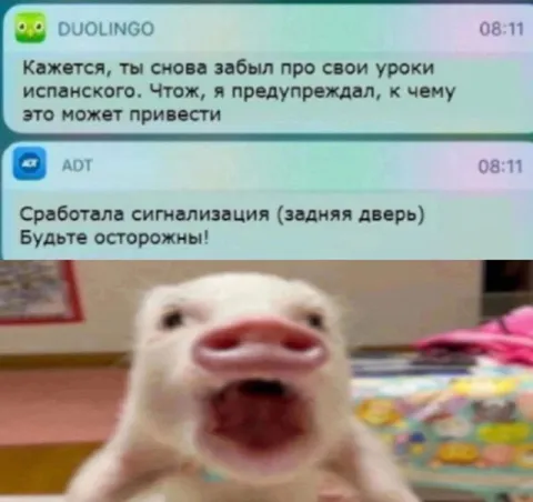 Урок испанского и сигнализация