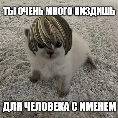 Слишком много пиздишь