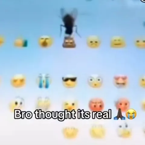 Bro Thought It Was Real