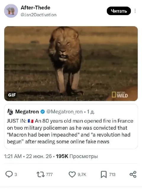 Lion Walks Into Fake News Chaos