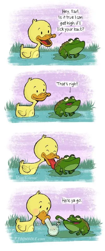 Duck Licks Frog's Back