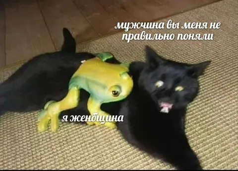 Мужчина, вы меня не правильно поняли