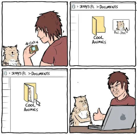 Cool Animals Folder Disaster