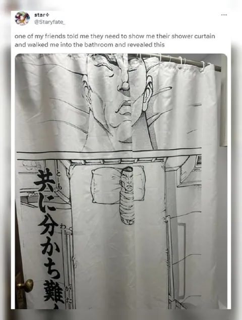 Shower Curtain Reveals Manga Bed
