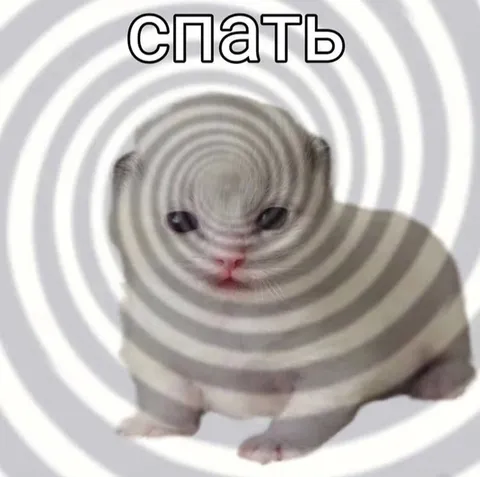 Гипнотический кот хочет спать