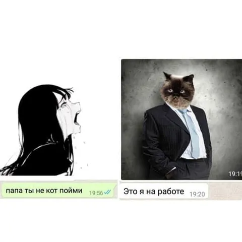 Папа, ты не кот