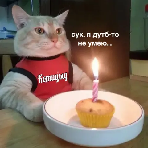 Кот не умеет дуть на свечу