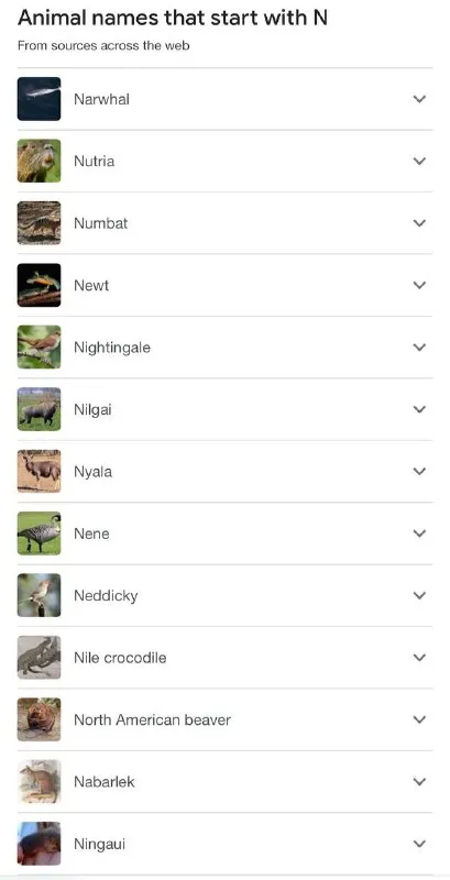 Animals That Start With N
