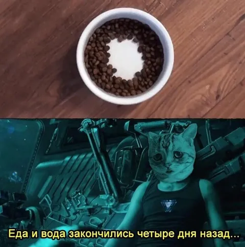 Еда и вода закончились