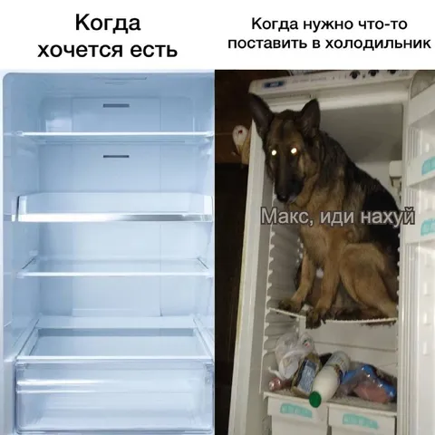 Пустой холодильник и Макс