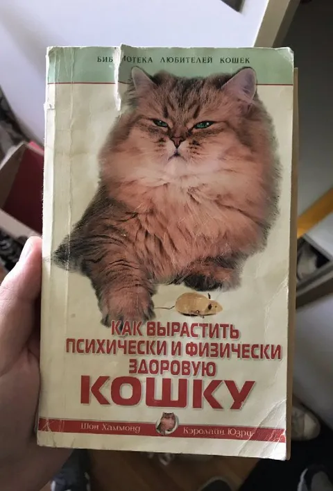 Как вырастить здоровую кошку
