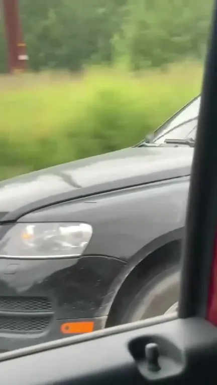 Собака едет в люке