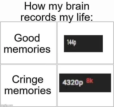 How My Brain Records Memories