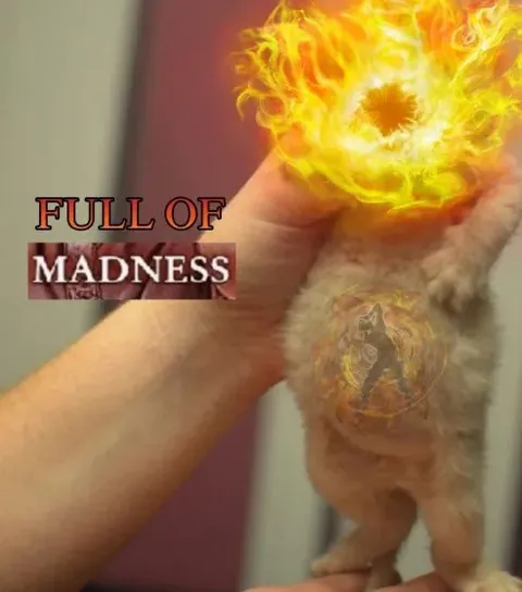 Full of Madness Cat