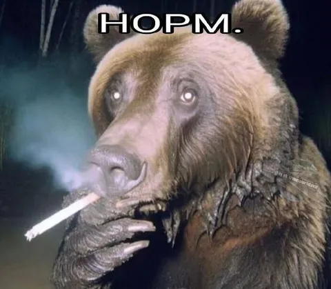 Курящий медведь: норм