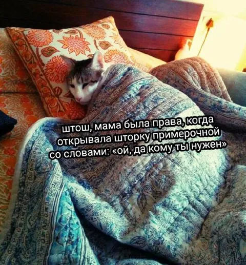 Мама была права