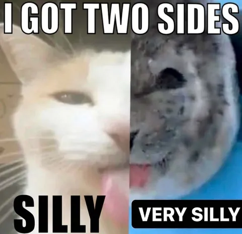 I Got Two Silly Sides