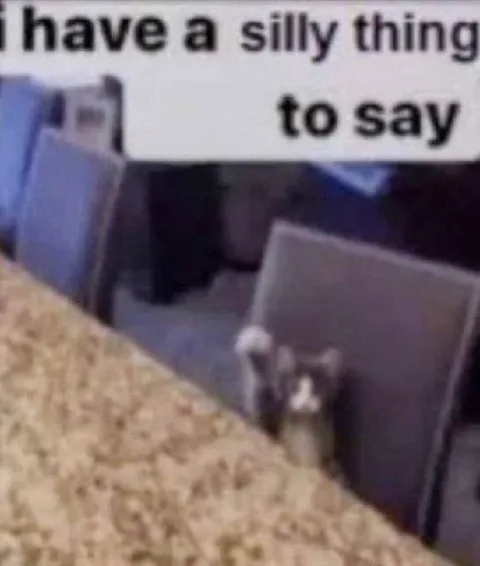 I Have a Silly Thing to Say