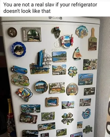 Real Slave Refrigerator