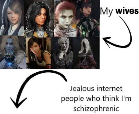 My Wives, Jealous Internet