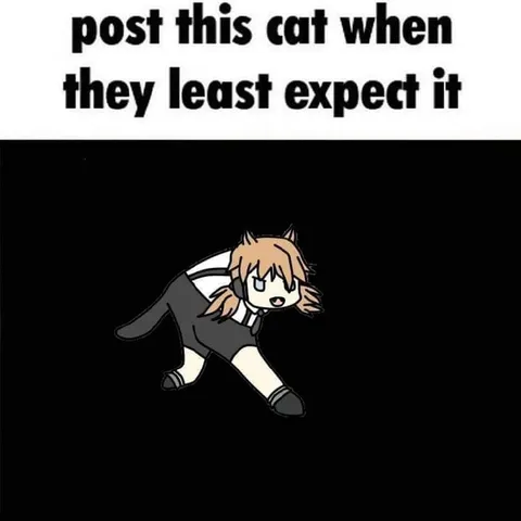 Unexpected Cat Post