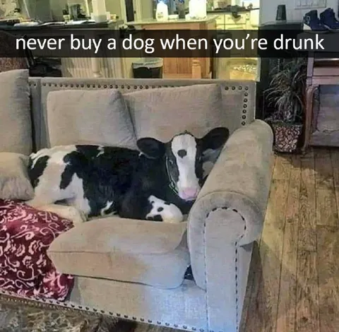 Never Buy a Dog Drunk